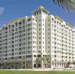 City Palms